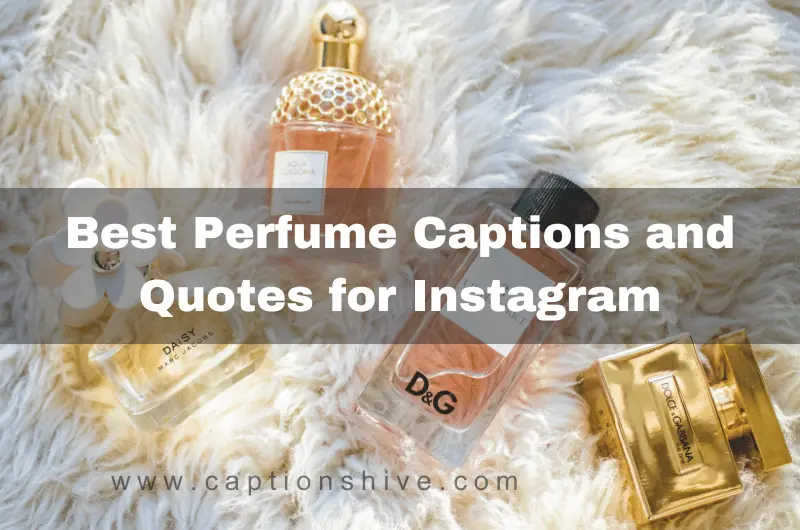 Best Perfume Captions and Quotes for Instagram