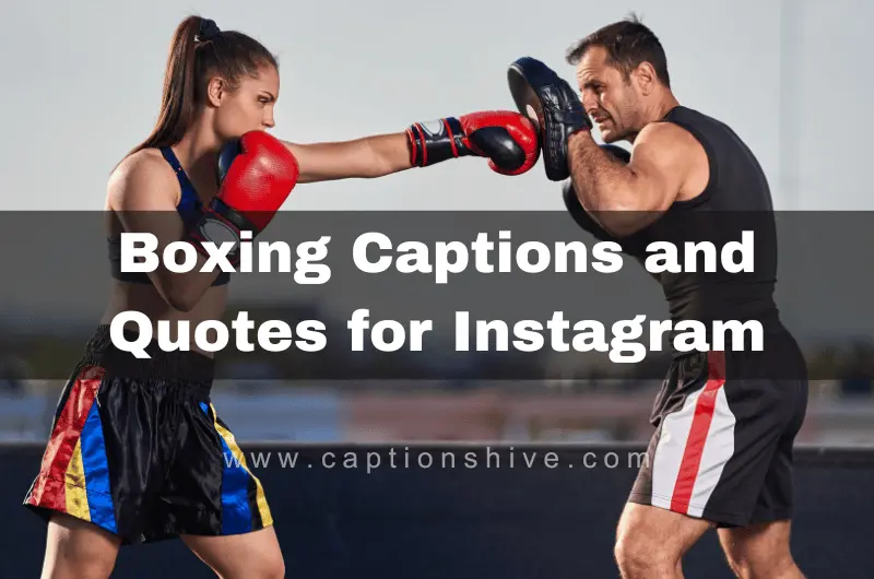 Boxing Captions and Quotes for Instagram