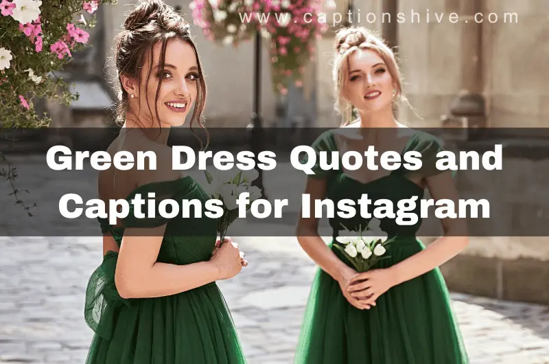 260+ Purple Dress Captions and Quotes for Instagram - CAPTION SWAG