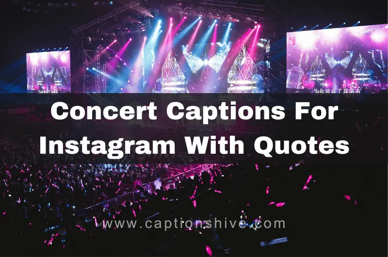 Best Concert Captions For Instagram With Quotes
