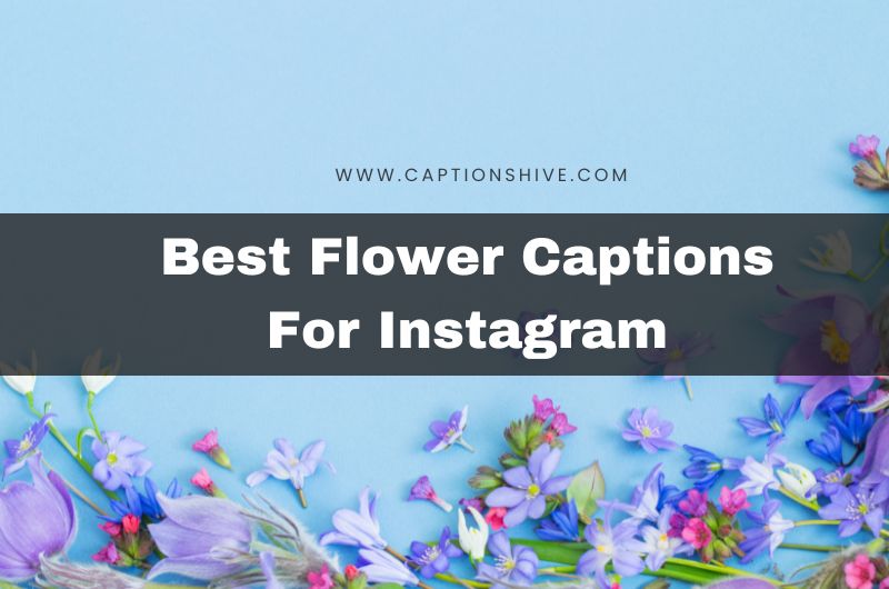 Best Flower Captions For Instagram