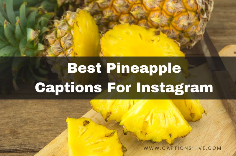 Best Pineapple Captions For Instagram
