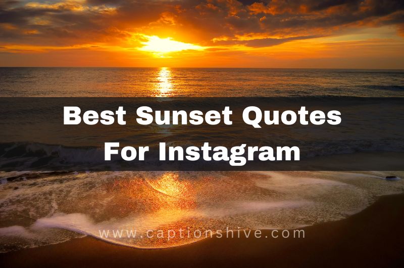 330+ Best Sunset Quotes For Instagram In 2024