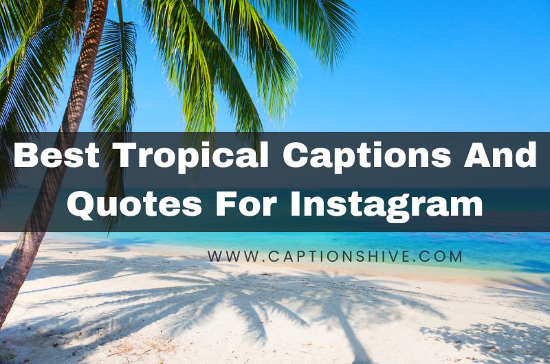 240+ Best Tropical Captions And Quotes For Instagram In 2024