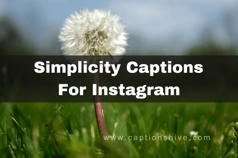 210+ Best Simplicity Captions & Quotes For Instagram In 2024