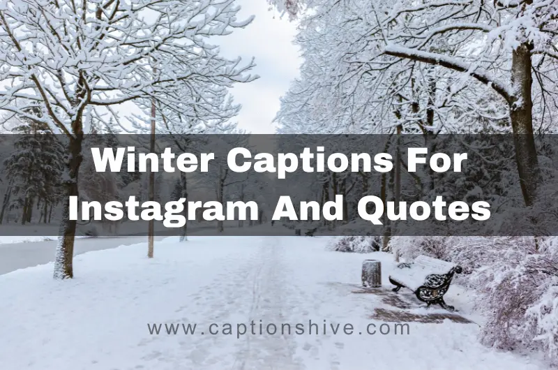 390+ Best Winter Captions For Instagram And Quotes In 2024