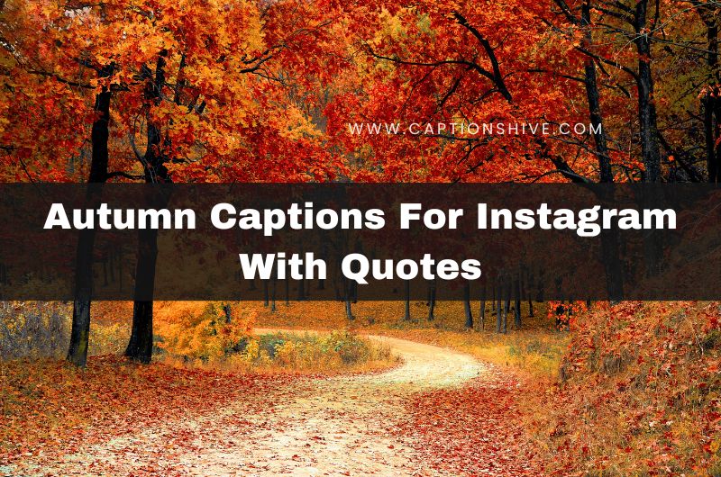 Autumn Captions For Instagram With Quotes