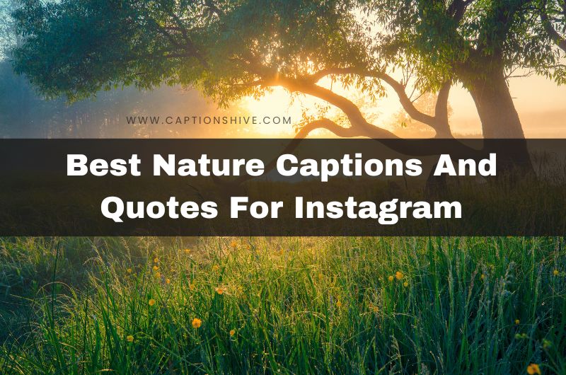 Best Nature Captions And Quotes For Instagram