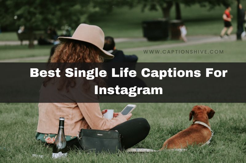 340+ Best Single Life Captions For Instagram In 2024