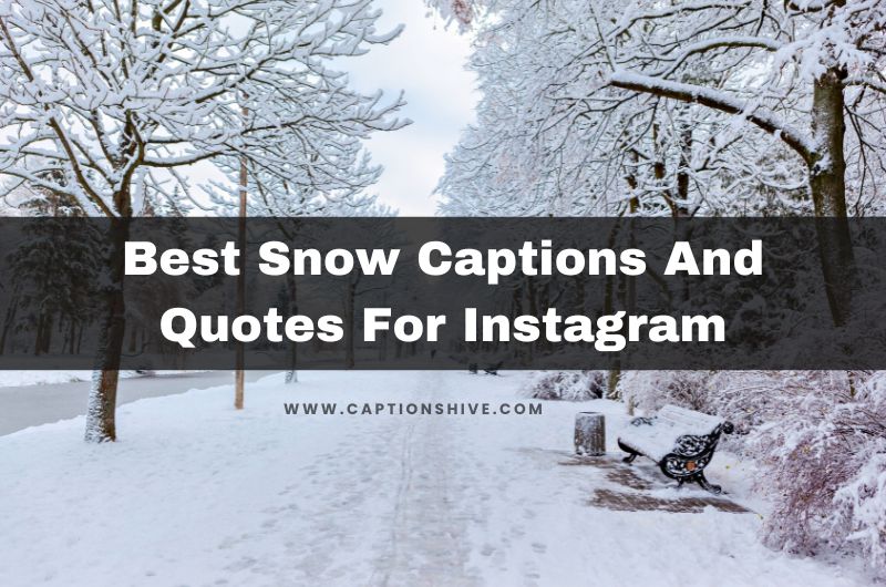 10000+ Latest Instagram Captions For Your Posts In 2024