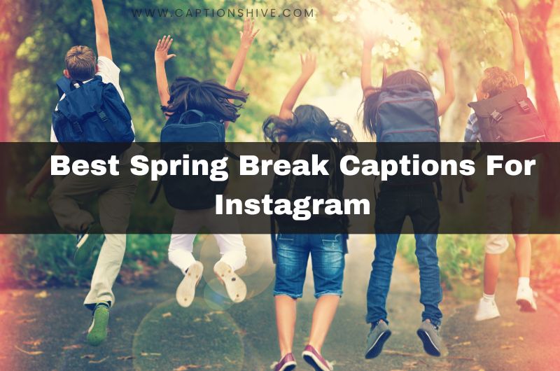 240+ Best Spring Break Captions For Instagram In 2024