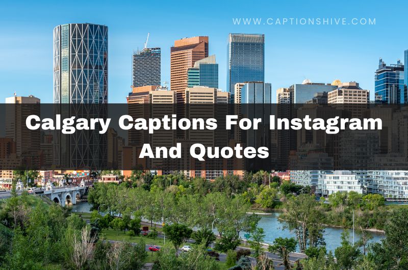 Calgary Captions For Instagram And Quotes