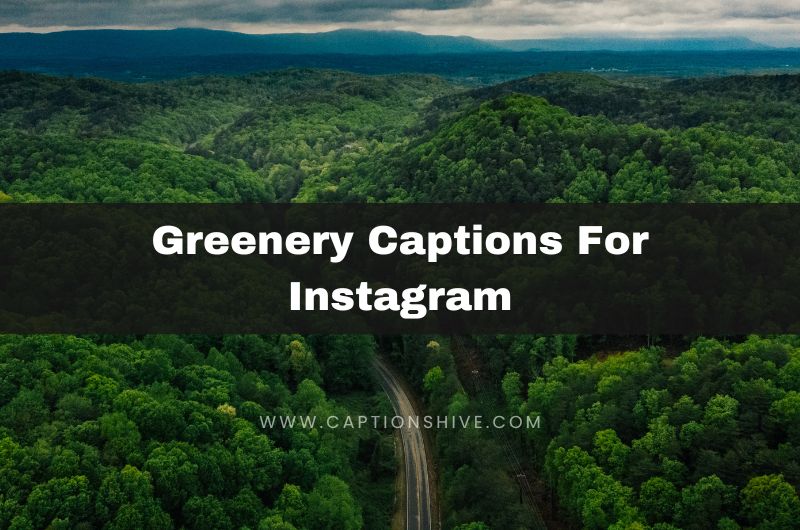 Greenery Captions For Instagram
