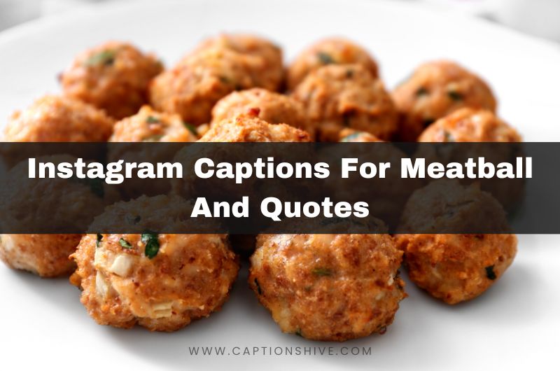 Instagram Captions For Meatball And Quotes