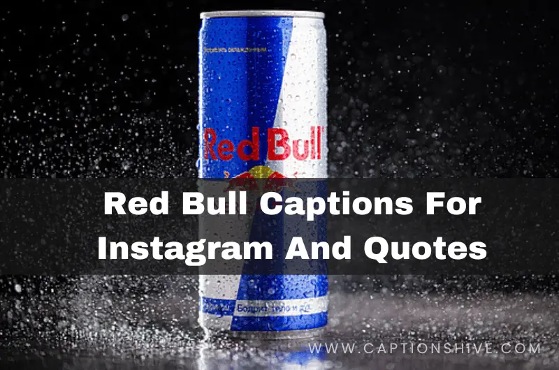 Red Bull Captions For Instagram And Quotes