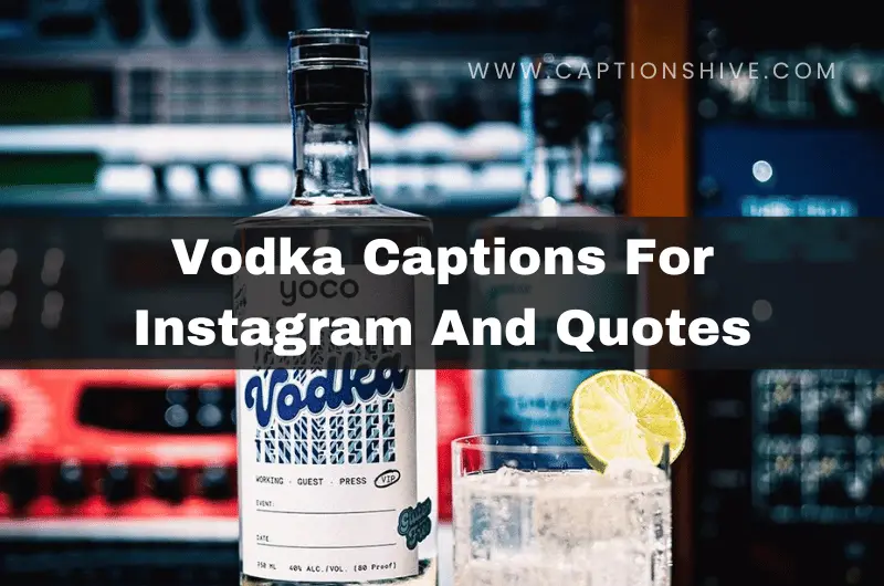 Vodka Captions For Instagram And Quotes