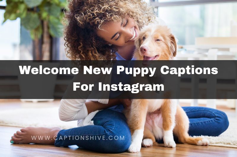 Welcome New Puppy Captions For Instagram