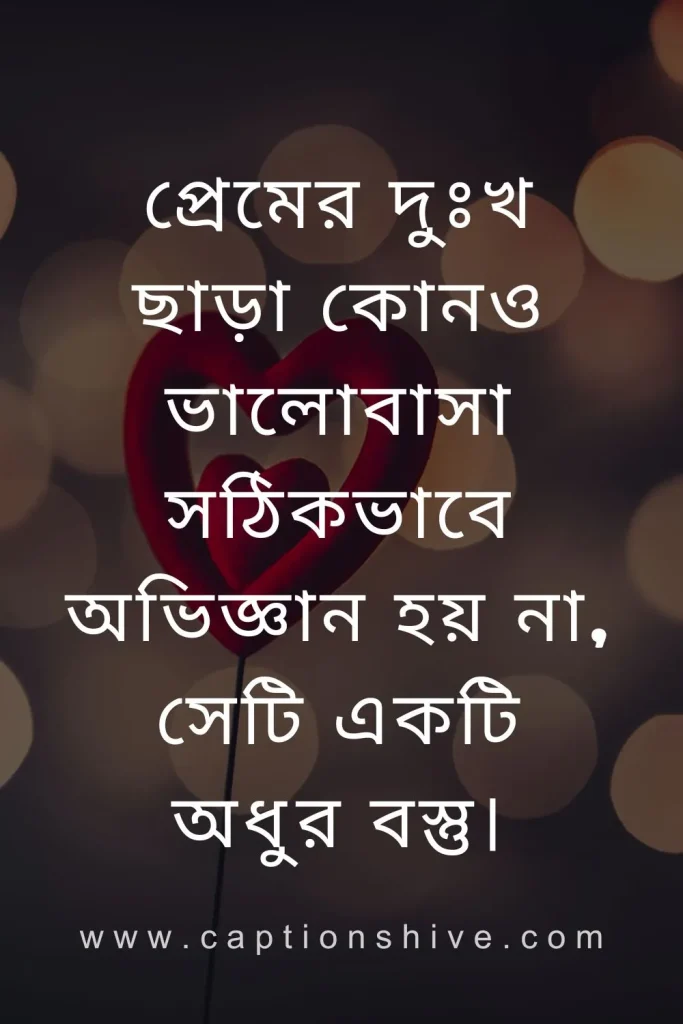 দুঃখজনক প্রেমের উক্তি (Sad Love Quotes in Bengali)