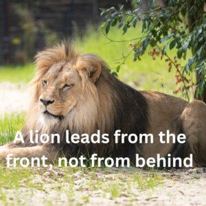 Motivational Lion Quotes About Leadership