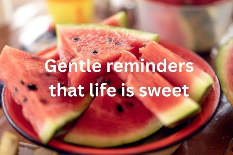 Cute & Aesthetic Watermelon Captions