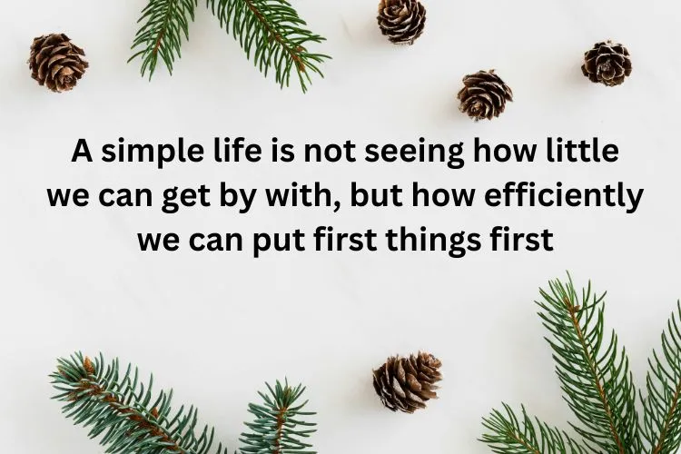 Deep & Thoughtful Simplicity Quotes