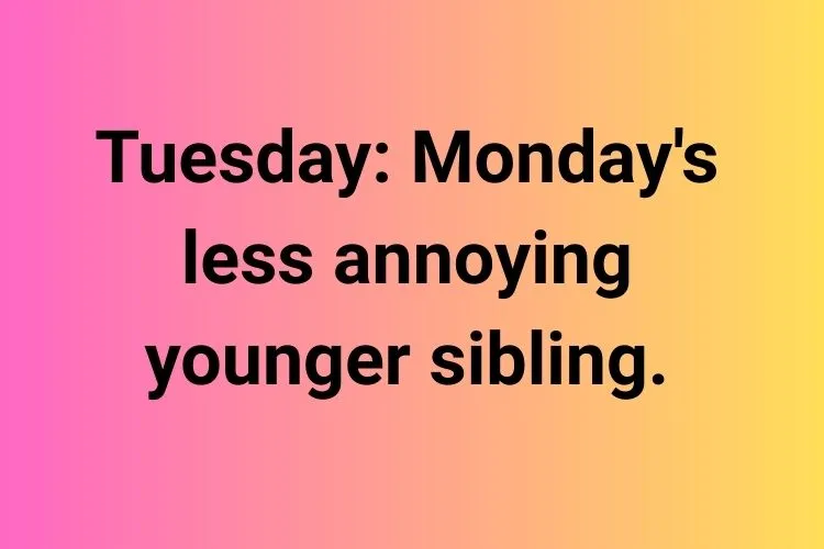 Funny Tuesday Quotes