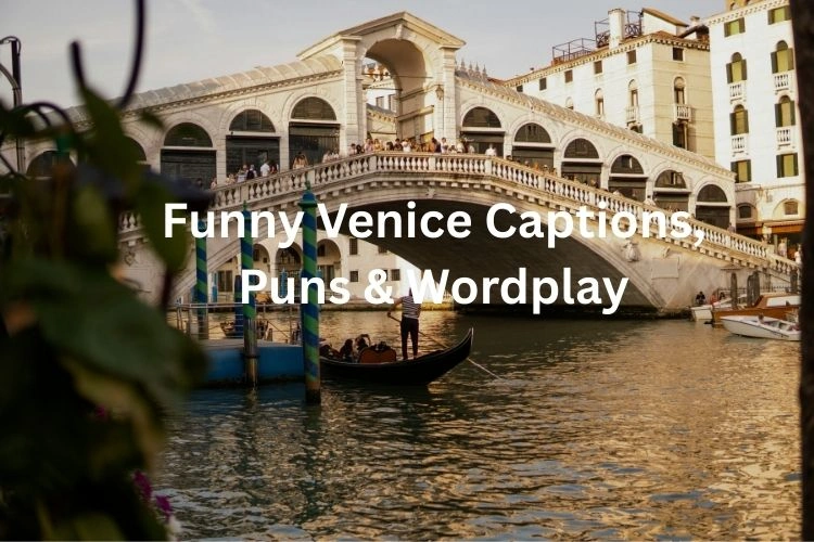 Funny Venice Captions, Puns & Wordplay