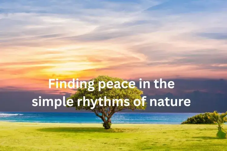 Nature, Peace & Simple Life Captions