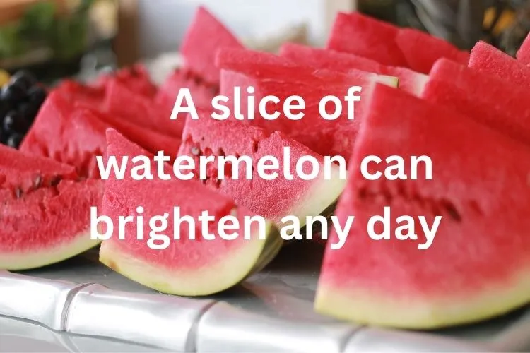 Watermelon Quotes for Instagram