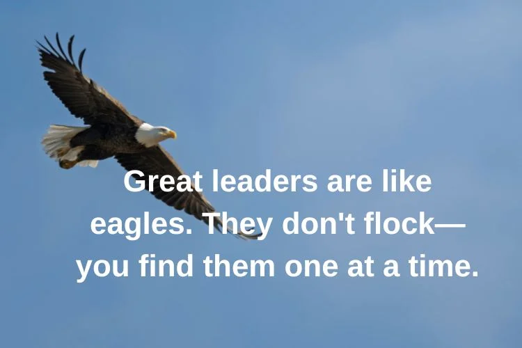 Be Like an Eagle – Quotes About Leadership & Power