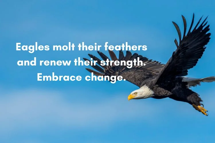 Eagle Quotes About Life, Change & Rebirth