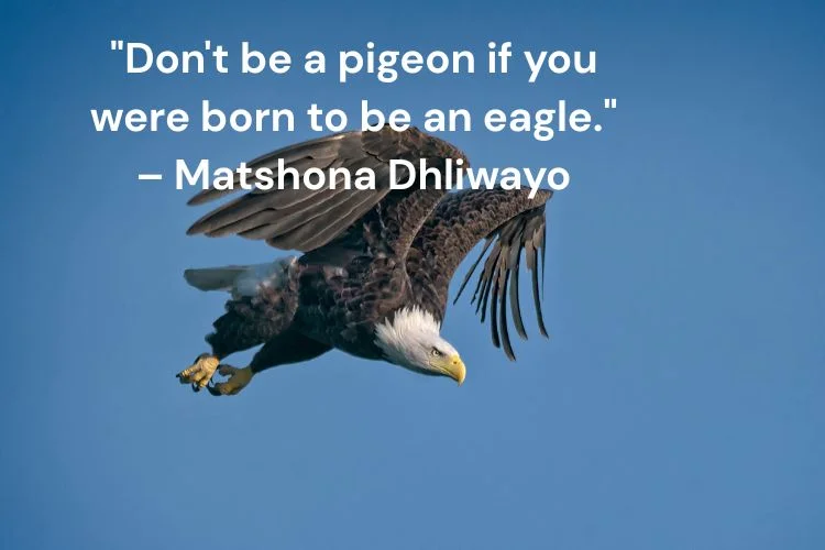 Famous Eagle Quotes From Literature, Leaders & Thinkers