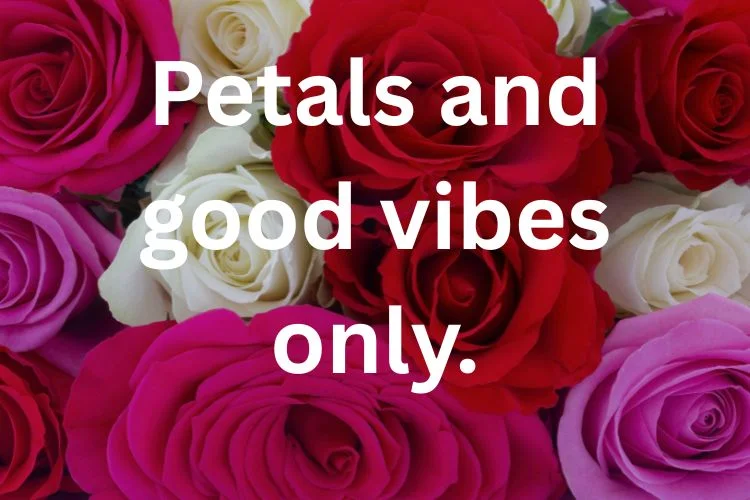 Flower Captions for Instagram