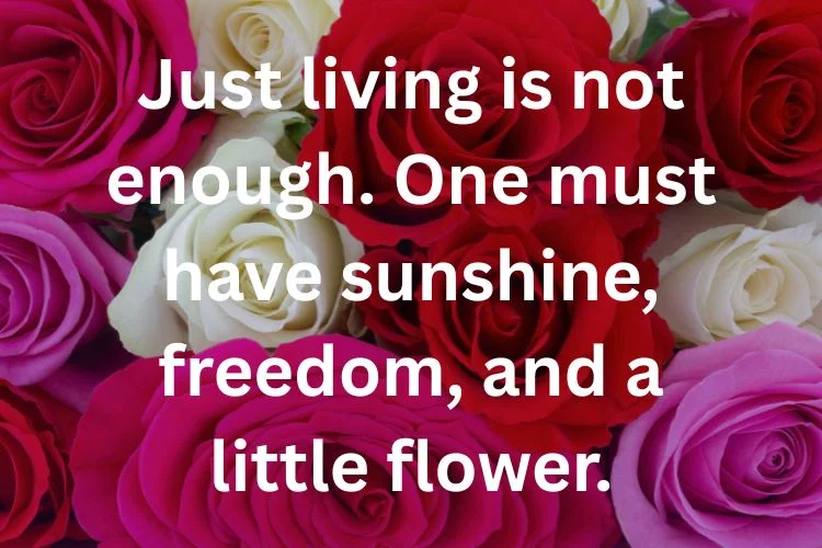 Peaceful & Healing Flower Quotes