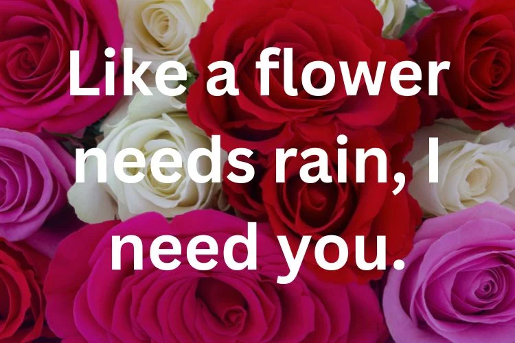 Romantic Flower Quotes