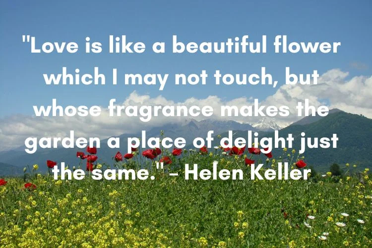 Romantic Spring Quotes About Love in Springtime