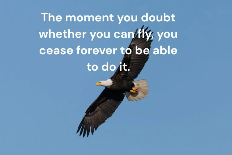 Soar Like an Eagle – Quotes About Reaching New Heights