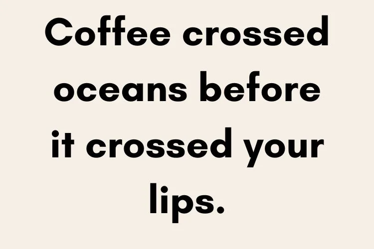 Cultural & Specialty Coffee Quotes