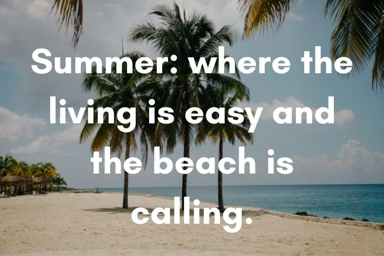 Summer Beach Quotes